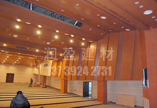 湖州吴兴区行政中心报告厅（仿木纹）